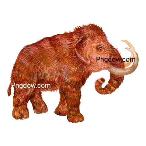 Mammoth Png transparent Background, free illustration, (3)