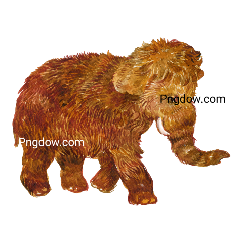 Mammoth Png transparent Background, free illustration, (32)