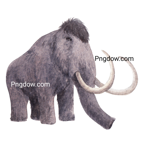 Mammoth Png transparent Background, free illustration, (37)