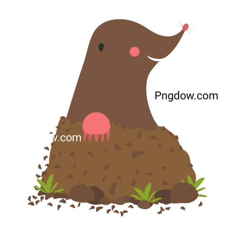 Mole Png, transparent Background, free illustration, (2)