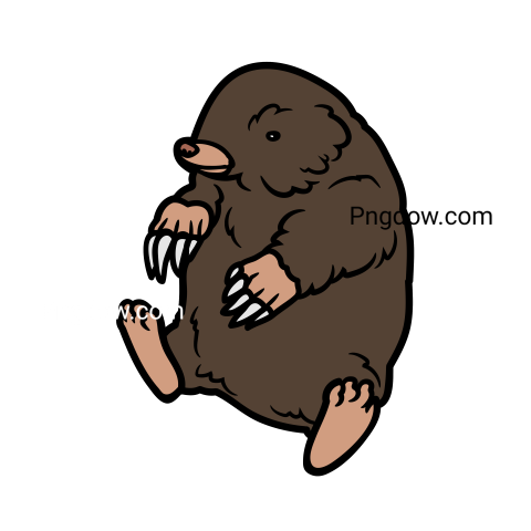 Mole Png, transparent Background, free illustration, (5)