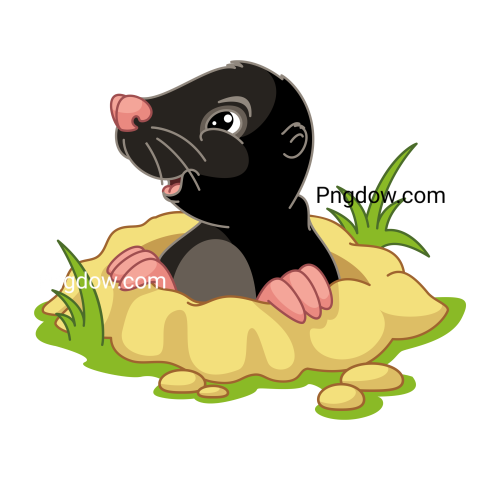 Mole Png, transparent Background, free illustration, (7)