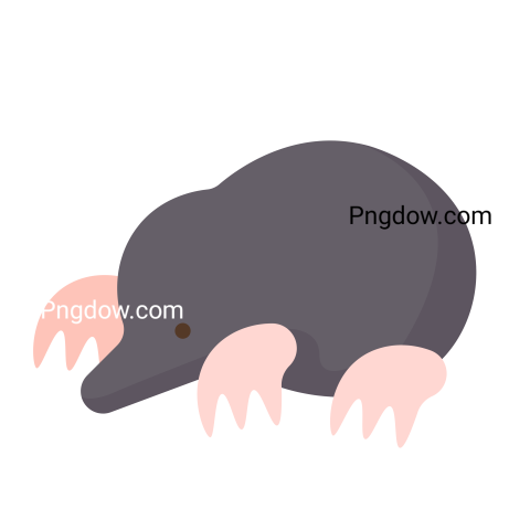 Mole Png, transparent Background, free illustration, (14)