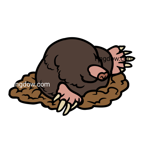 Mole Png, transparent Background, free illustration, (15)