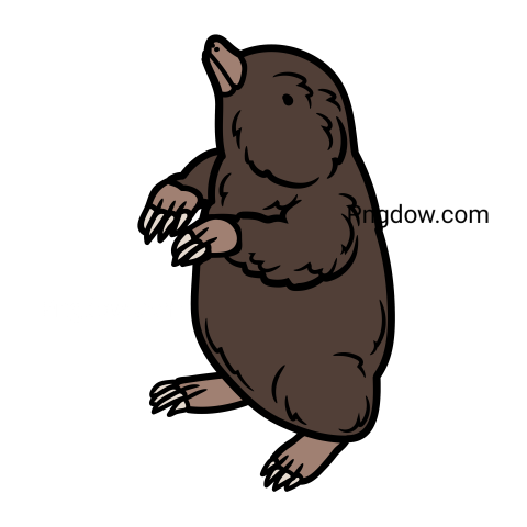 Mole Png, transparent Background, free illustration, (16)