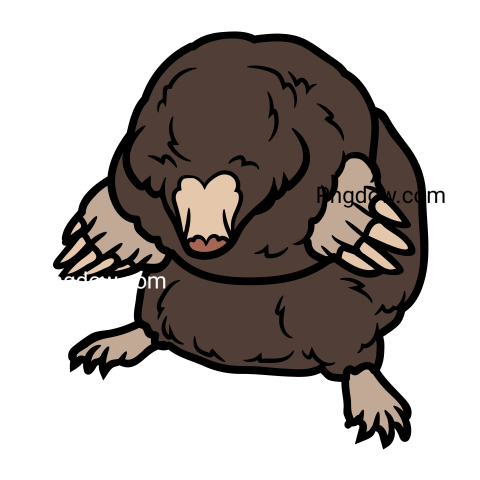 Mole Png, transparent Background, free illustration, (13)