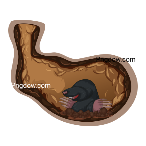 Mole Png, transparent Background, free illustration, (25)
