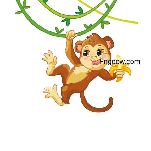 Cute Monkey on Liana, transparent Background