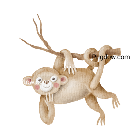 Monkey animal character watercolour illustration