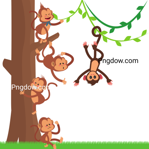 Jungle Monkeys Cartoon, transparent Background