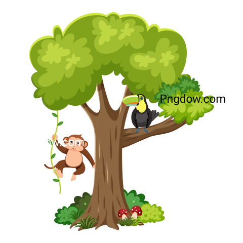 Monkey and Toucan Bird on a Tree, transparent Background for free