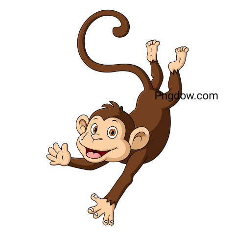 Monkey Png, transparent Background, free illustration, (13)