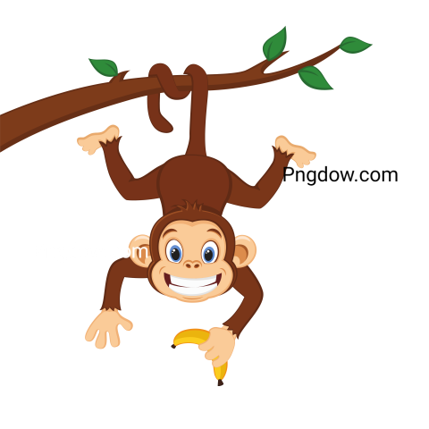 Monkey Png, transparent Background, free illustration, (9)