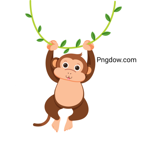 Monkey Png, transparent Background, free illustration, (23)