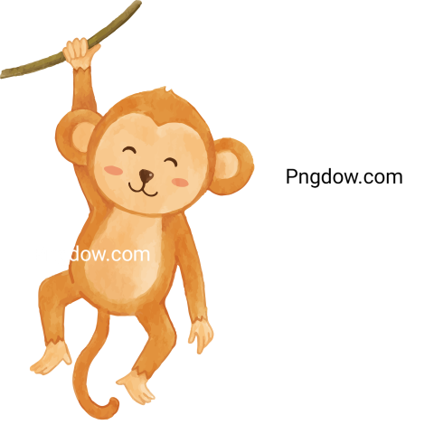 Monkey Png, transparent Background, free illustration, (10)