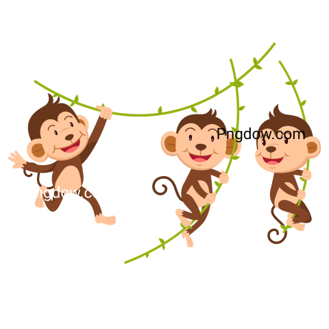 Monkey Png, transparent Background, free illustration, (8)