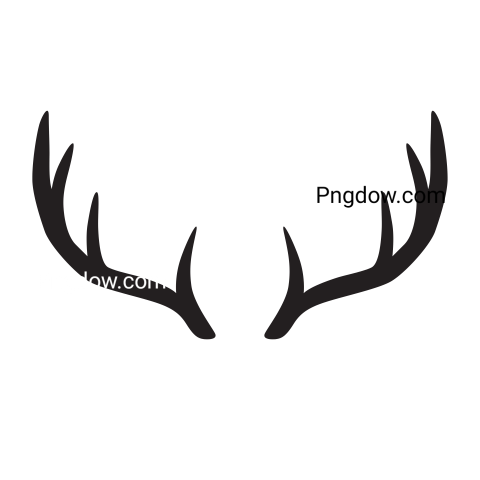 Moose, elk Png, transparent Background, free illustration, (20)