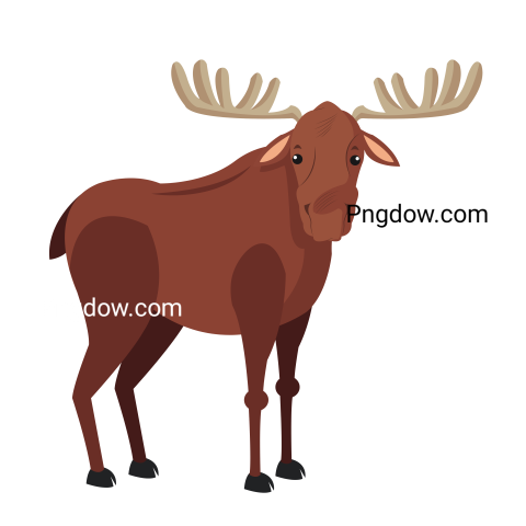 Moose, elk Png, transparent Background, free illustration, (21)