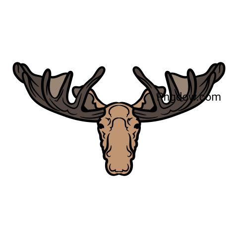 Moose, elk Png, transparent Background, free illustration, (15)