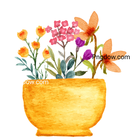 Watercolor flower on pot, transparent background