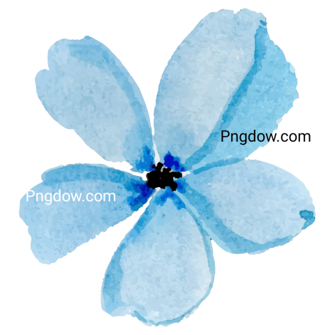 Watercolor blue flower, transparent background