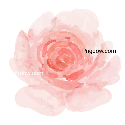 Pink watercolor flower