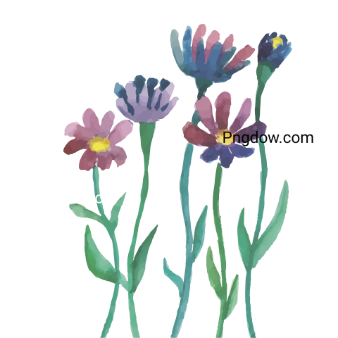 Watercolor Flowers with Stems, transparent background