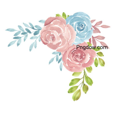 Watercolor Hand Painted Rose Flower Bouquet Illustration