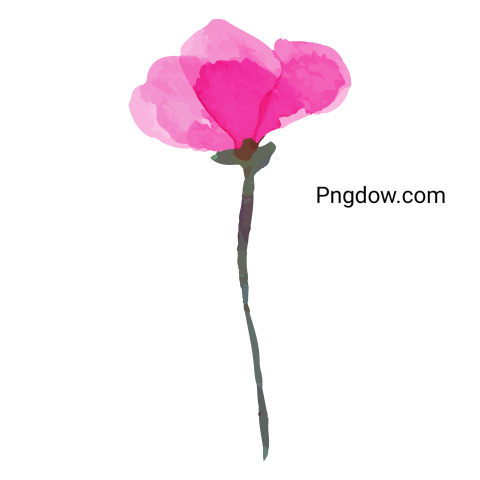 Watercolor Flower, transparent background image