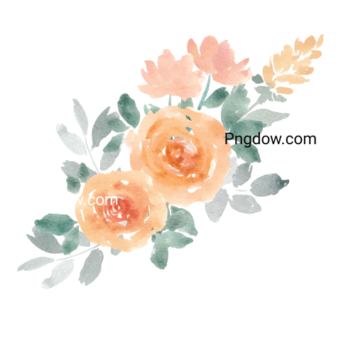 Watercolor Flower Art, transparent background for Free