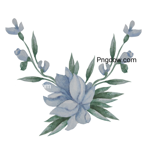 Blue Watercolor Flowers, png for Free