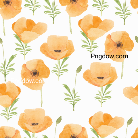 Watercolor Flowers Seamless Pattern, transparent background, free vector