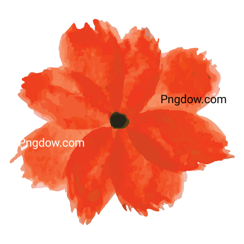 Watercolor Flower, PNG images for Free