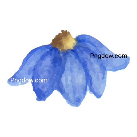 Watercolor Flower Illustration, transparent background, free vector
