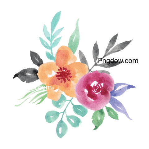 Watercolor Flowers, transparent background