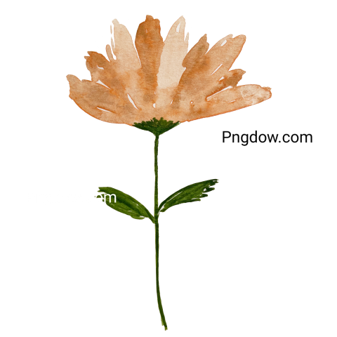 Watercolor Flower icon, transparent background