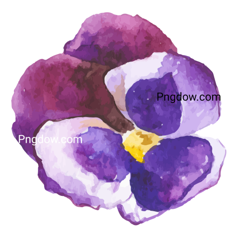 Watercolor Flower Illustration for Free