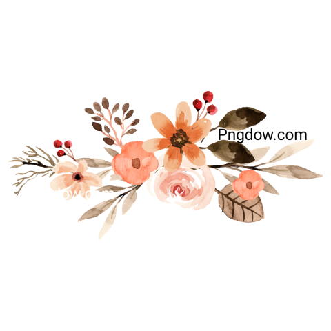 Watercolor Flowers, transparent background image