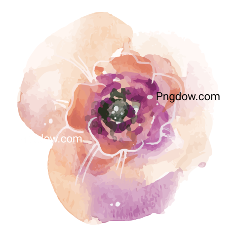 Watercolor Flower Illustration png images for Free
