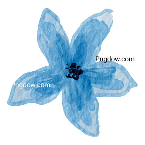 Watercolor Flower Illustration, transparent background for Free Download
