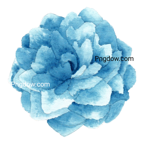 Watercolor Blue Rose Flower Element