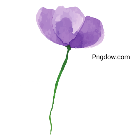 Watercolor Flower png images for Free