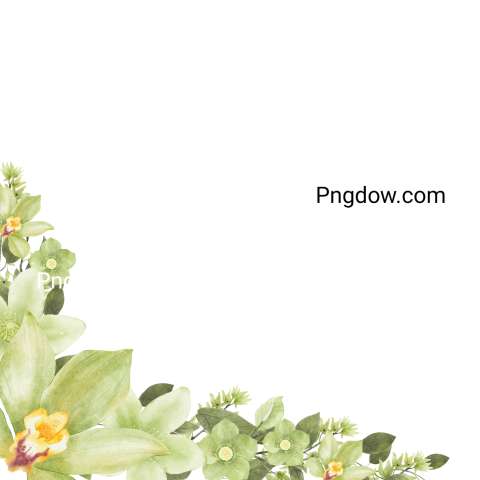 Green Watercolor Flower Background