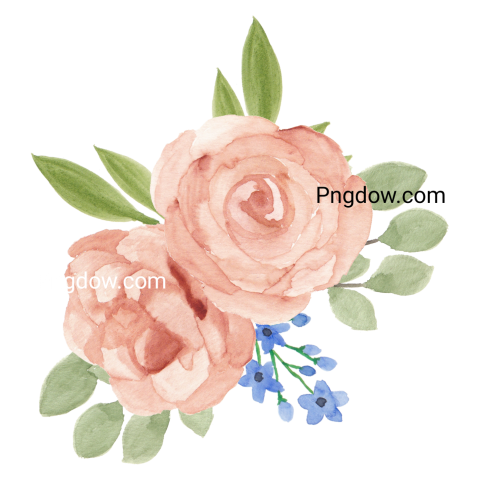 Watercolor Flowers Cutout png images