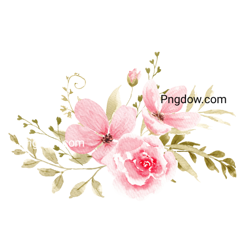 Pink Watercolor Flowers Illustration