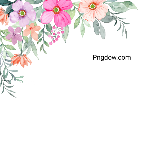 Watercolor flower border transparent background
