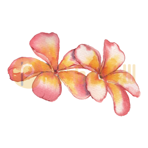 Flower watercolor free download