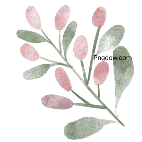 Watercolor Botanical Flower Illustration