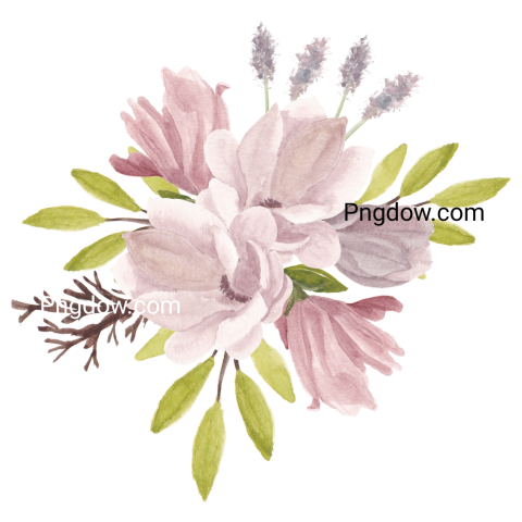 Pastel Magnolia Flower Watercolor Cutout