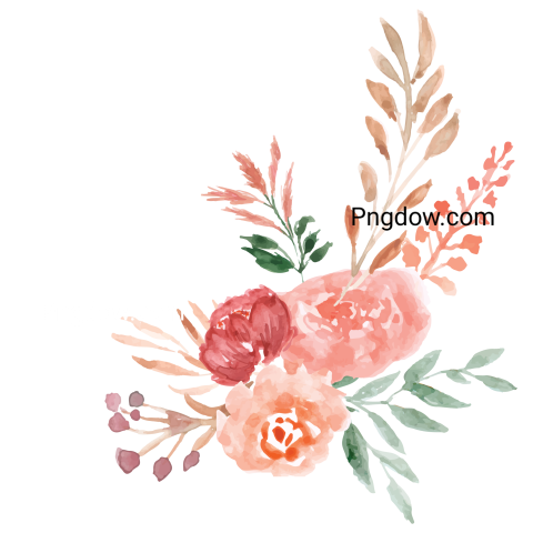 Vector collection of herry watercolor flowers and transparent background in png, (4)